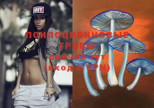 хмурый Елабуга