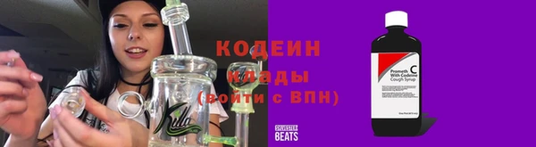 хмурый Елабуга