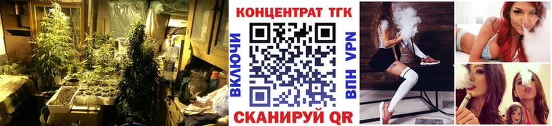 ТГК вейп с тгк  kraken как зайти  Суздаль 