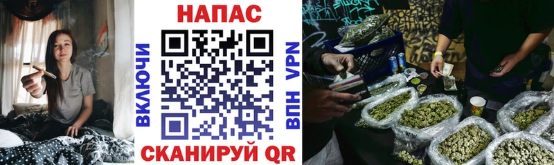 Конопля Bruce Banner  что такое   Суздаль 